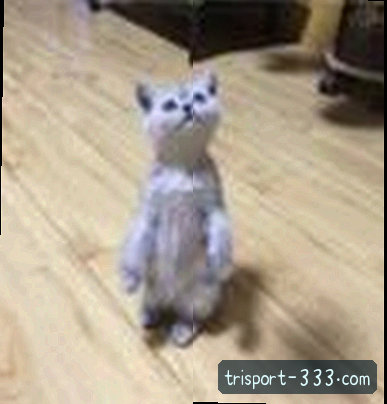 王磊
